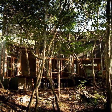 Ojo De Arbol, Boutique Cabin In The Real Jungle Tulum Pueblo Buitenkant foto