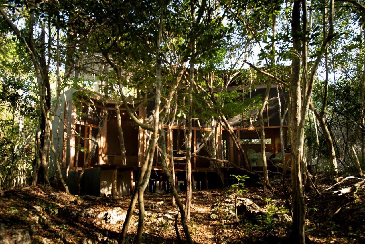 Ojo De Arbol, Boutique Cabin In The Real Jungle Tulum Pueblo Buitenkant foto