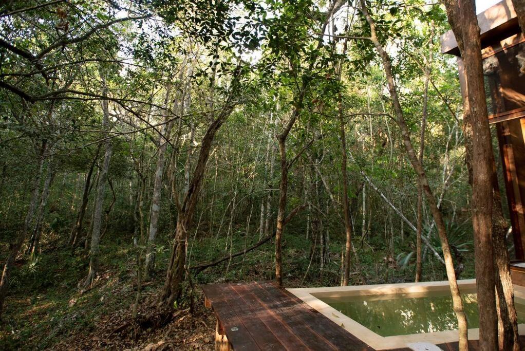 Ojo De Arbol, Boutique Cabin In The Real Jungle Tulum Pueblo Buitenkant foto