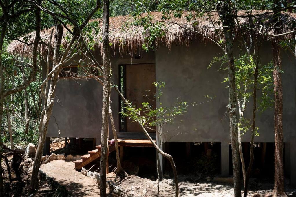 Ojo De Arbol, Boutique Cabin In The Real Jungle Tulum Pueblo Buitenkant foto