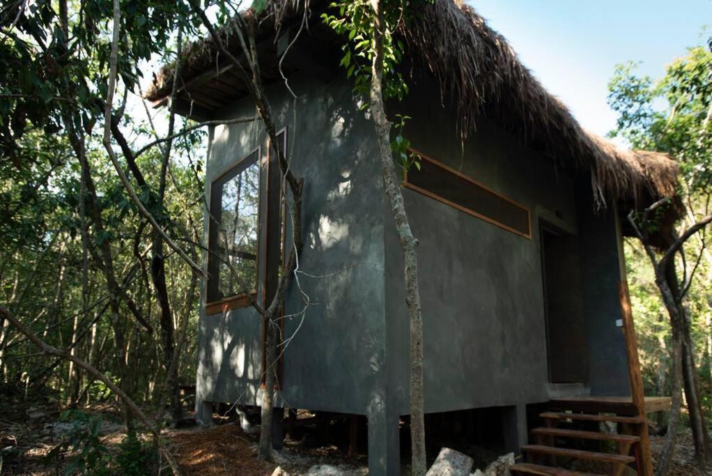 Ojo De Arbol, Boutique Cabin In The Real Jungle Tulum Pueblo Buitenkant foto