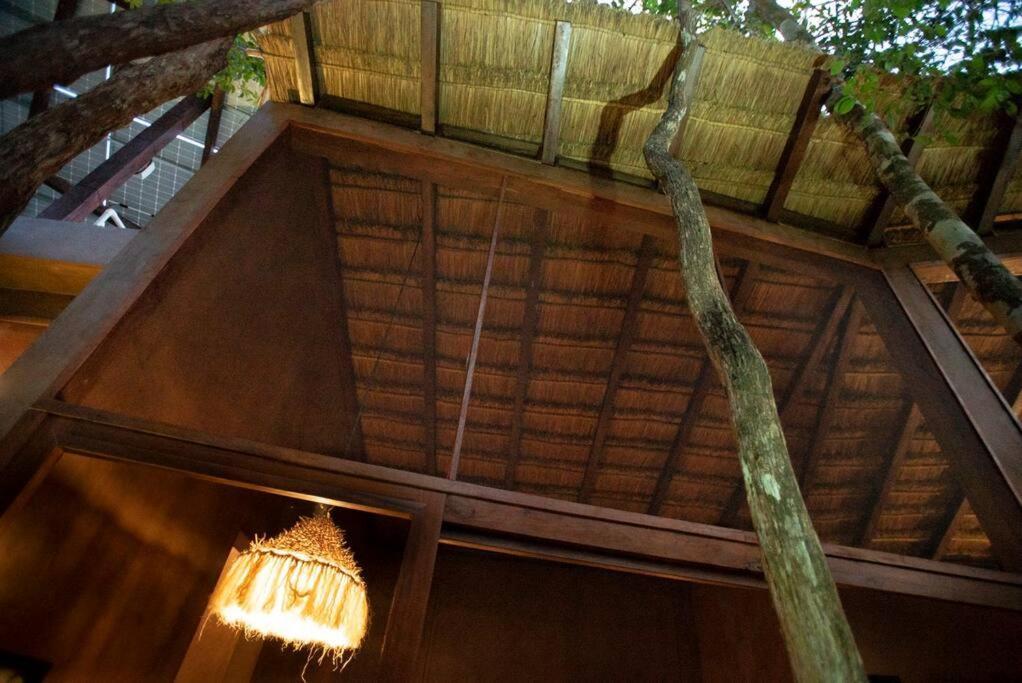 Ojo De Arbol, Boutique Cabin In The Real Jungle Tulum Pueblo Buitenkant foto